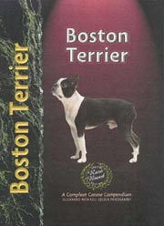 BOSTON TERRIER (Interpet)