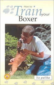 BOXER HOW TO TRAIN YOUR
