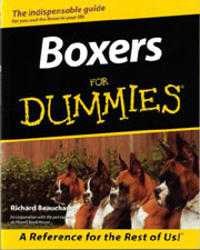 BOXERS FOR DUMMIES