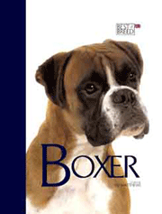 BOXER BEST OF BREED