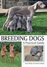 BREEDING DOGS - A PRACTICAL GUIDE