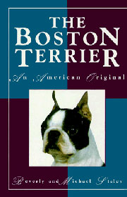 BOSTON TERRIER