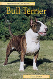 BULL TERRIER PET OWNERS GUIDE 