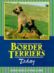 BORDER TERRIERS TODAY