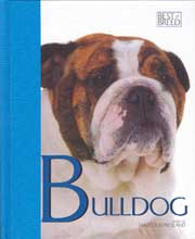 BULLDOG BEST OF BREED