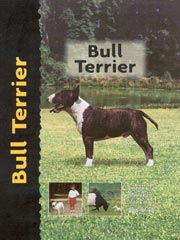 BULL TERRIER (Interpet)