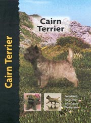 CAIRN TERRIER (Interpet)