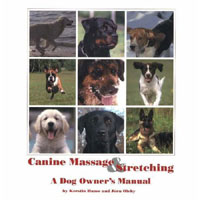 CANINE MASSAGE AND STRETCHING