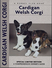 CARDIGAN WELSH CORGI