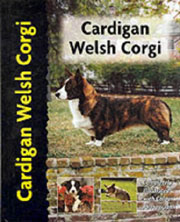 CARDIGAN WELSH CORGI (Interpet)