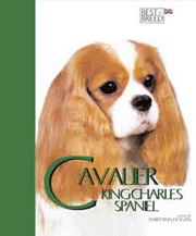 CAVALIER KING CHARLES SPANIEL BEST OF BREED