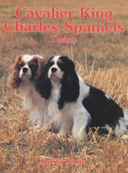 CAVALIER KING CHARLES SPANIELS TODAY