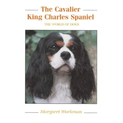 CAVALIER KING CHARLES SPANIEL Kingdom