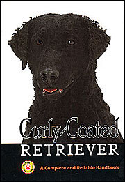 RETRIEVER CURLY COATED