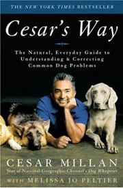 CESAR'S WAY - The Natural, Everyday Guide to Understanding and Correcting Common Dog Problems