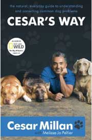 CESAR'S WAY - The Natural, Everyday Guide to Understanding and Correcting Common Dog Problems