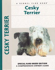 CESKY TERRIER