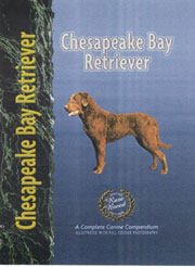 CHESAPEAKE BAY RETRIEVER (Interpet)