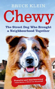 CHEWY - THE STREET DOG WHO BROUGHT A NEIGHBOURHOOD TOGETHER