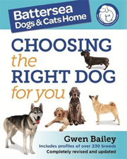 CHOOSING THE RIGHT DOG FOR YOU