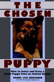 CHOSEN PUPPY THE