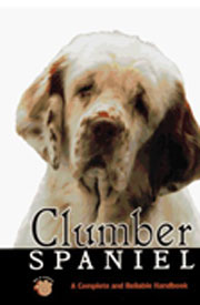 SPANIEL CLUMBER