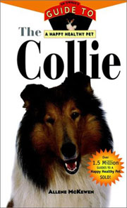 COLLIE HAPPY HEALTHY