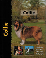  COLLIE (Interpet)