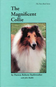 COLLIE THE MAGNIFICENT