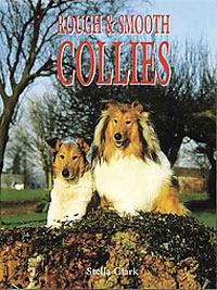 COLLIE (ROUGH)