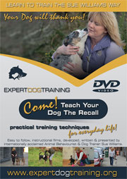 COME TEACH YOUR DOG THE RECALL