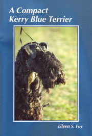 A COMPACT KERRY BLUE TERRIER