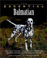 DALMATIAN ESSENTIAL