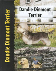 DANDIE DINMONT TERRIER (Interpet)