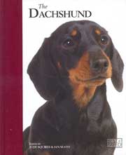 DACHSHUND