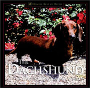 DACHSHUND DELIGHTFUL DEVOTED AND DIVERSE