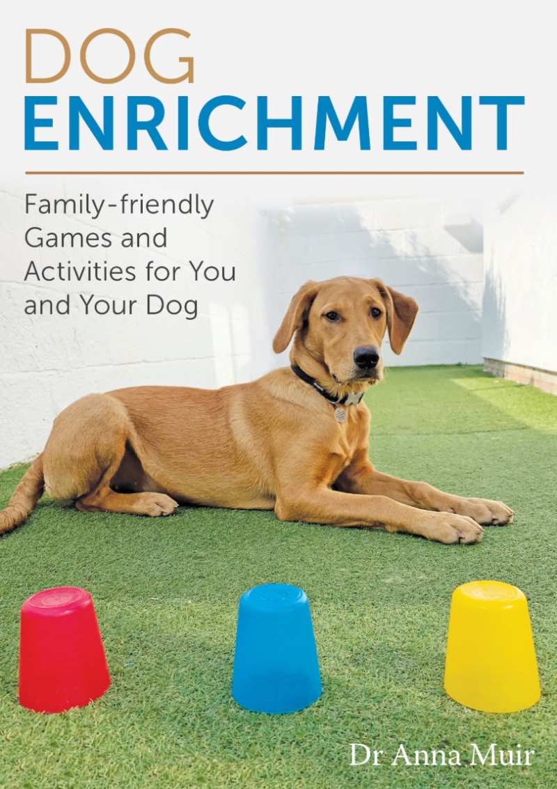 DOG ENRICHMENT