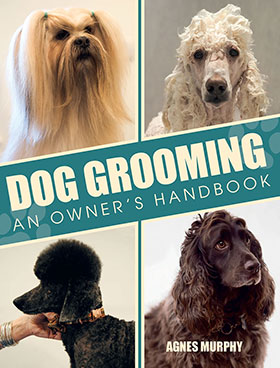 DOG GROOMING - NEW