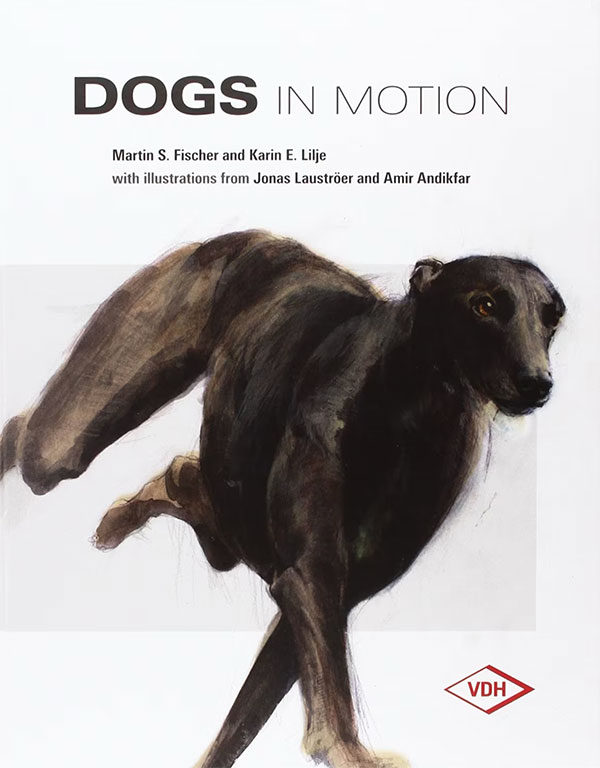 dogs in motion