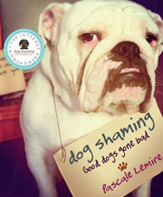 DOG SHAMING - GOOD DOGS GONE BAD.