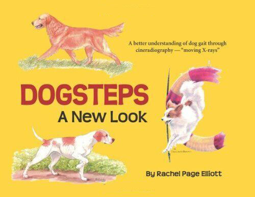 Dog Steps a new look