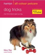 DOG TRICKS - OVER 50 FUN TRICKS TO TEACH YOUR DOG