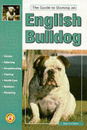 ENGLISH BULLDOG GUIDE TO OWNING