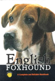 ENGLISH FOXHOUND