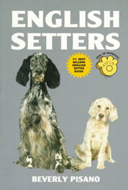 ENGLISH SETTERS KW