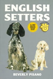 ENGLISH SETTERS KW