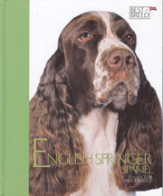 ENGLISH SPRINGER SPANIEL - BEST OF BREED