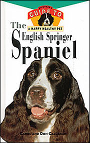 ENGLISH SPRINGER SPANIEL HAPPY HEALTHY