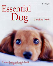 ESSENTIAL DOG