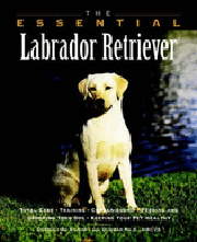 LABRADOR RETRIEVER ESSENTIAL